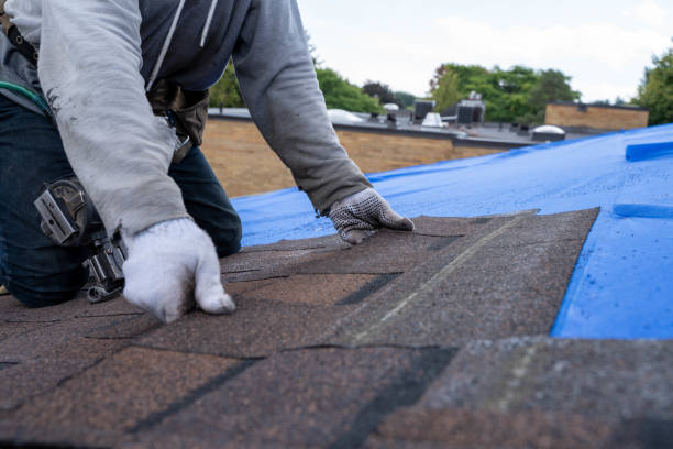 Best Local Roofing Companies  in Trafalgar, IN