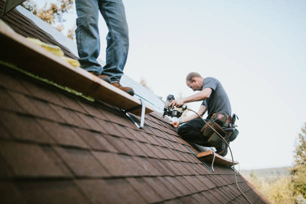 Best Roof Repair Services  in Trafalgar, IN