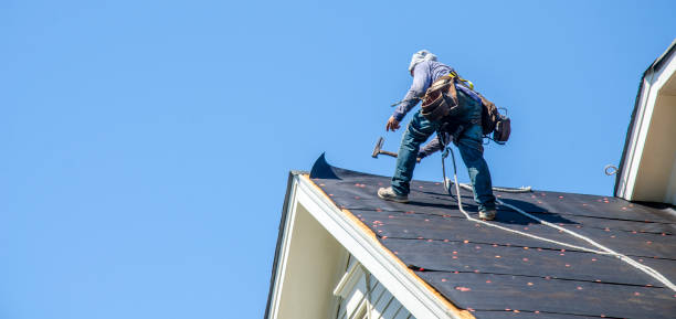 Best Metal Roofing Contractor  in Trafalgar, IN